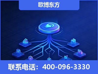 和龙-全链豆包优化